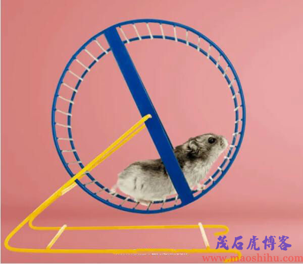发展势头