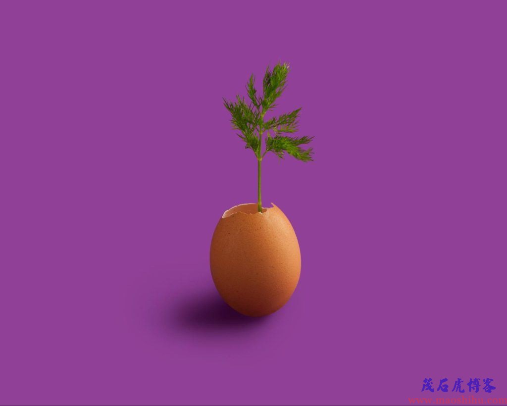 产品生命周期管理