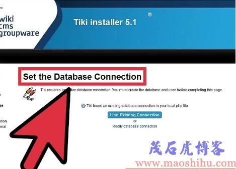 tiki什么意思