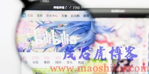 哔哩哔哩
