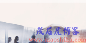 合作伙伴关系