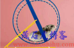 发展势头
