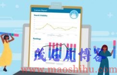 网站诊断优化分析
