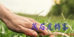 企业员工成长文化