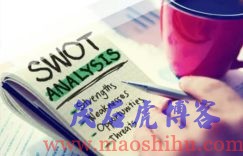 个人SWOT分析