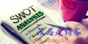 个人SWOT分析