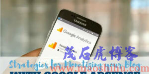 Google AdSense广告