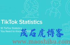 TikTok什么意思