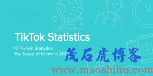 TikTok什么意思