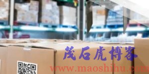 牛鞭效应