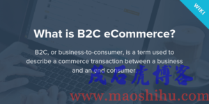 电子商务b2c
