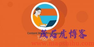 tags是什么意思