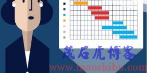 什么是项目管理